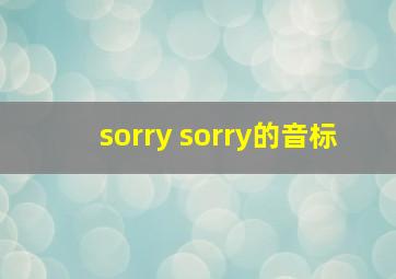 sorry sorry的音标